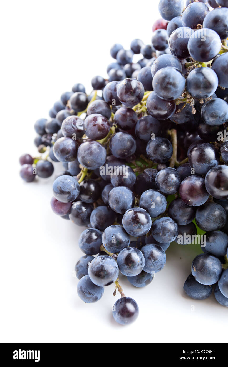 L'Isabella uva è una cultivar derivate ,è utilizzata per la tavola, succo di frutta e per la produzione di vino.sfondo bianco. Foto Stock