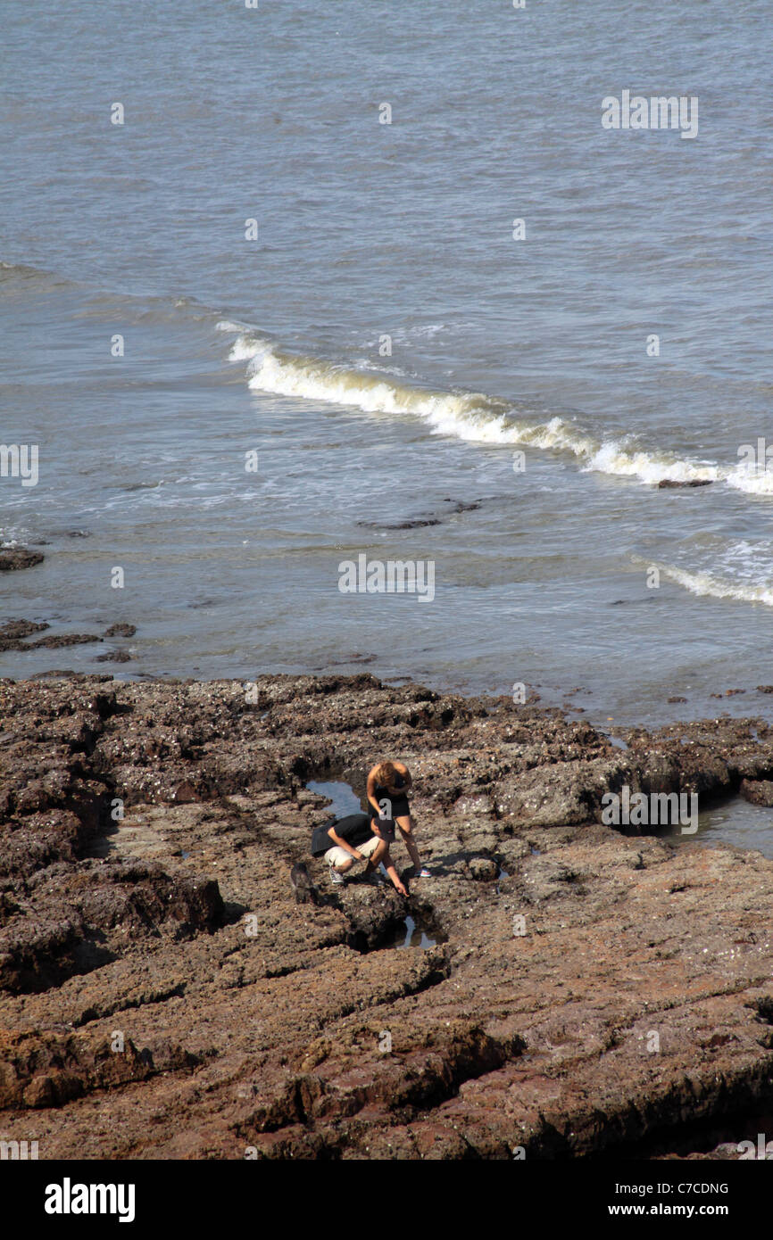 Paio di ricerca marina di piccole creature di vita durante la bassa marea sulle rocce di una posizione costiera con l'oceano come sfondo Foto Stock