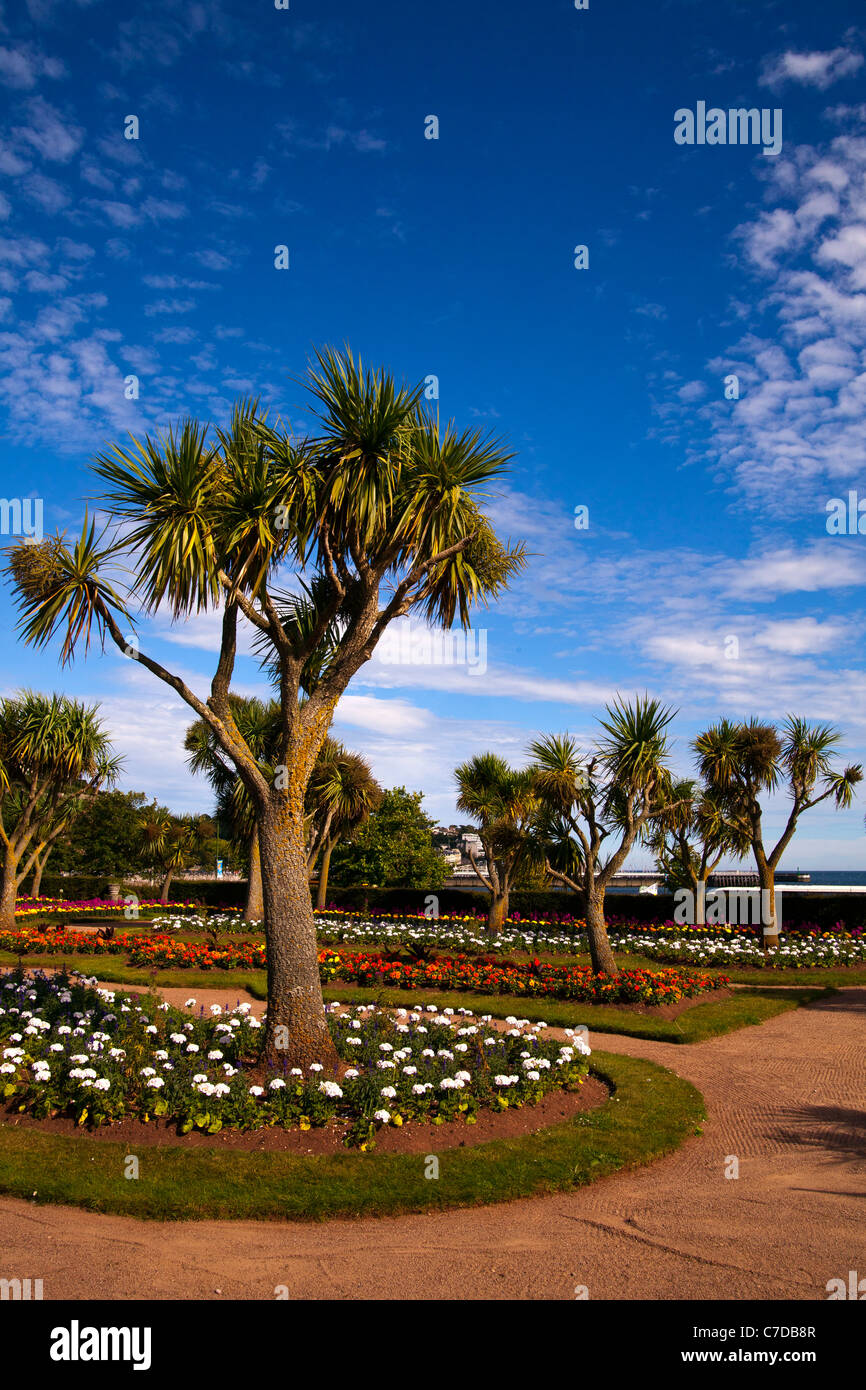 Alberi di palma in splendidi giardini sul lungomare a Torquay, Devon in Inghilterra Foto Stock