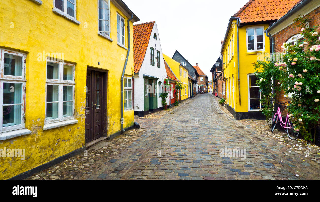 Una strada di ciottoli di Ribe città vecchia, nello Jutland, Danimarca Foto Stock