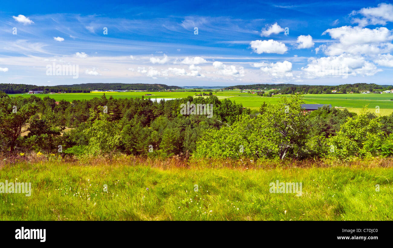 Vista del paesaggio vicino Fjaras, Kungsbacka, Halland, Svezia Foto Stock