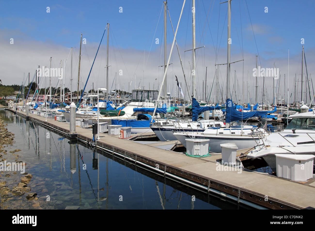 Colorato nella Marina di Monterey in California Foto Stock