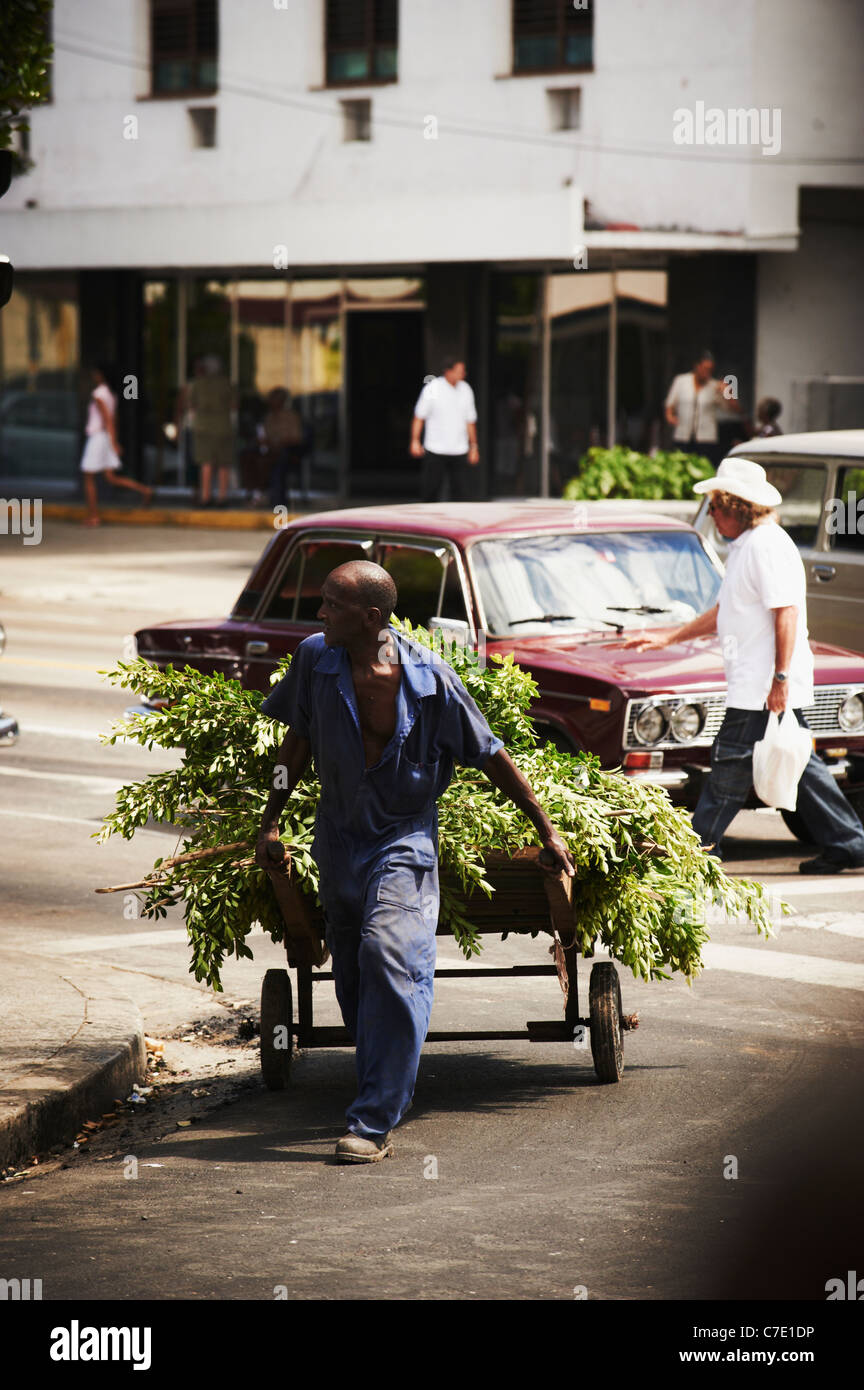 Havana street scene Cuba carrello di canna da zucchero Foto Stock