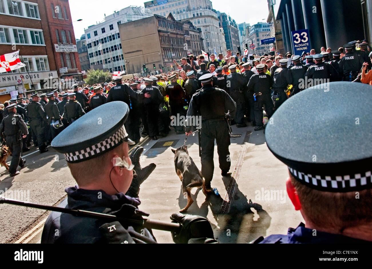 I cani di polizia utilizzato per street tumulto durante l'EDL marzo a Londra Foto Stock