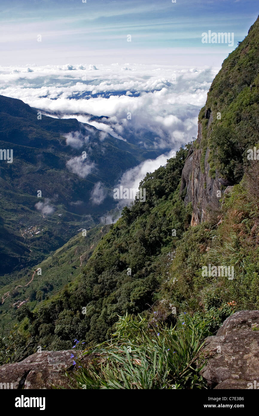 Vista dall'estremità del mondo Horton pianure del Parco Nazionale dello Sri Lanka Foto Stock