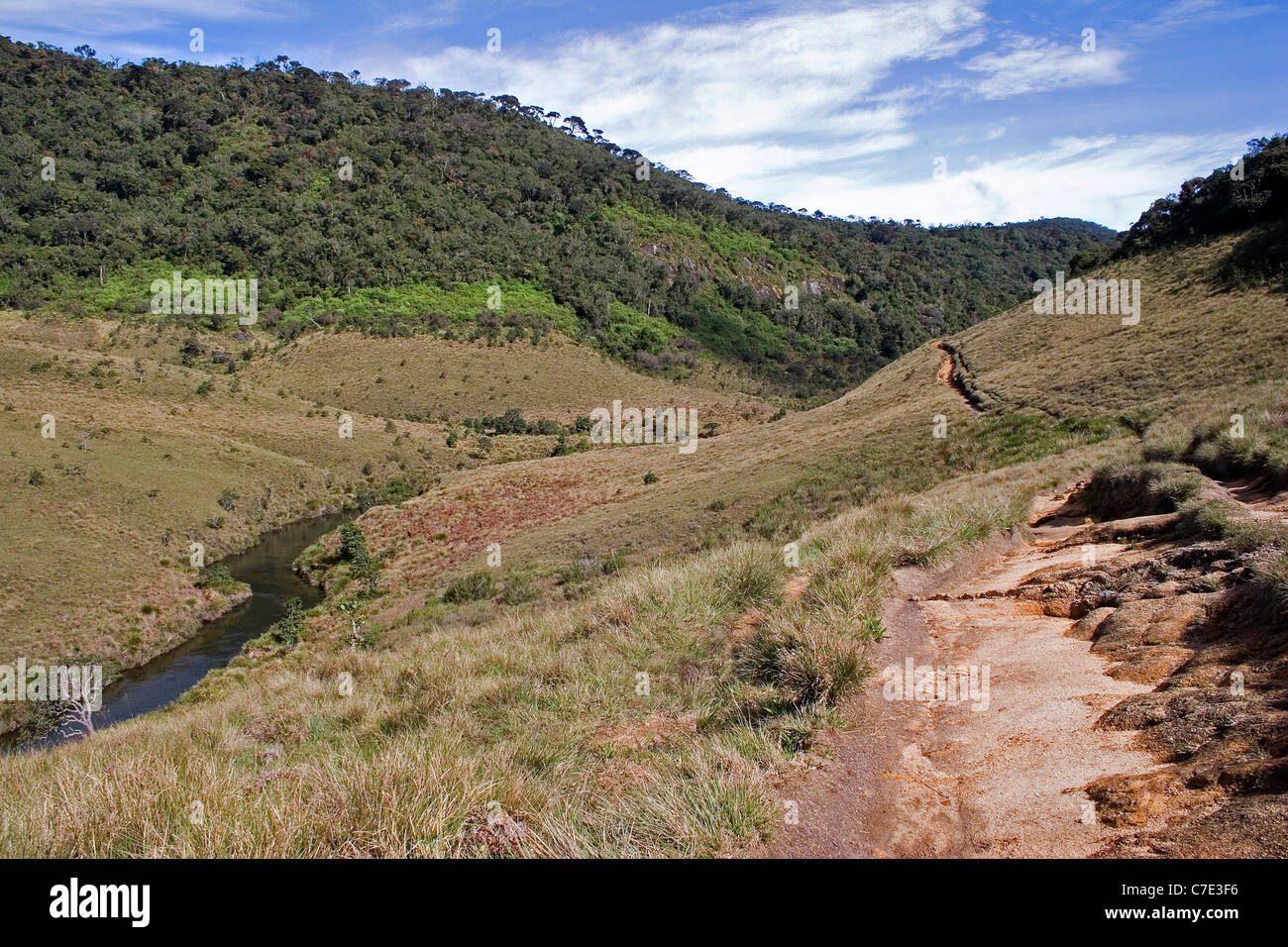 Vista di Horton pianure del Parco Nazionale dello Sri Lanka Foto Stock