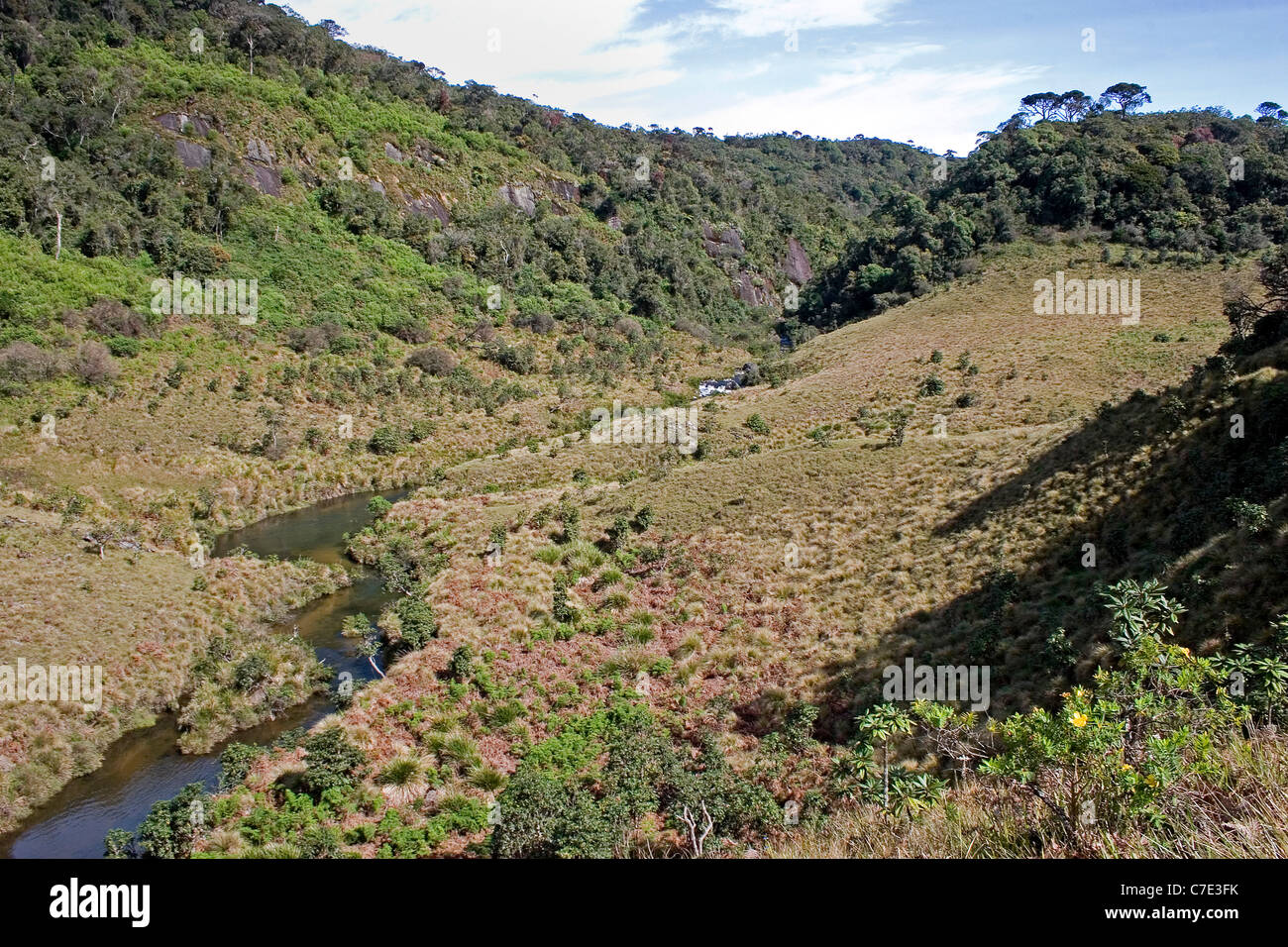 Vista di Horton pianure del Parco Nazionale dello Sri Lanka Foto Stock