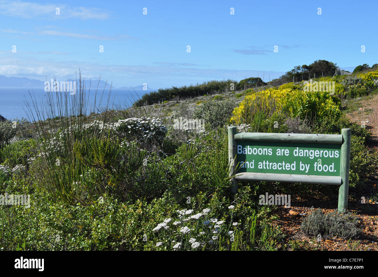 Capo di Buona Speranza, cape town, Western Cape, Sud Africa, table mountain national park, segno di avvertimento, babbuini Foto Stock