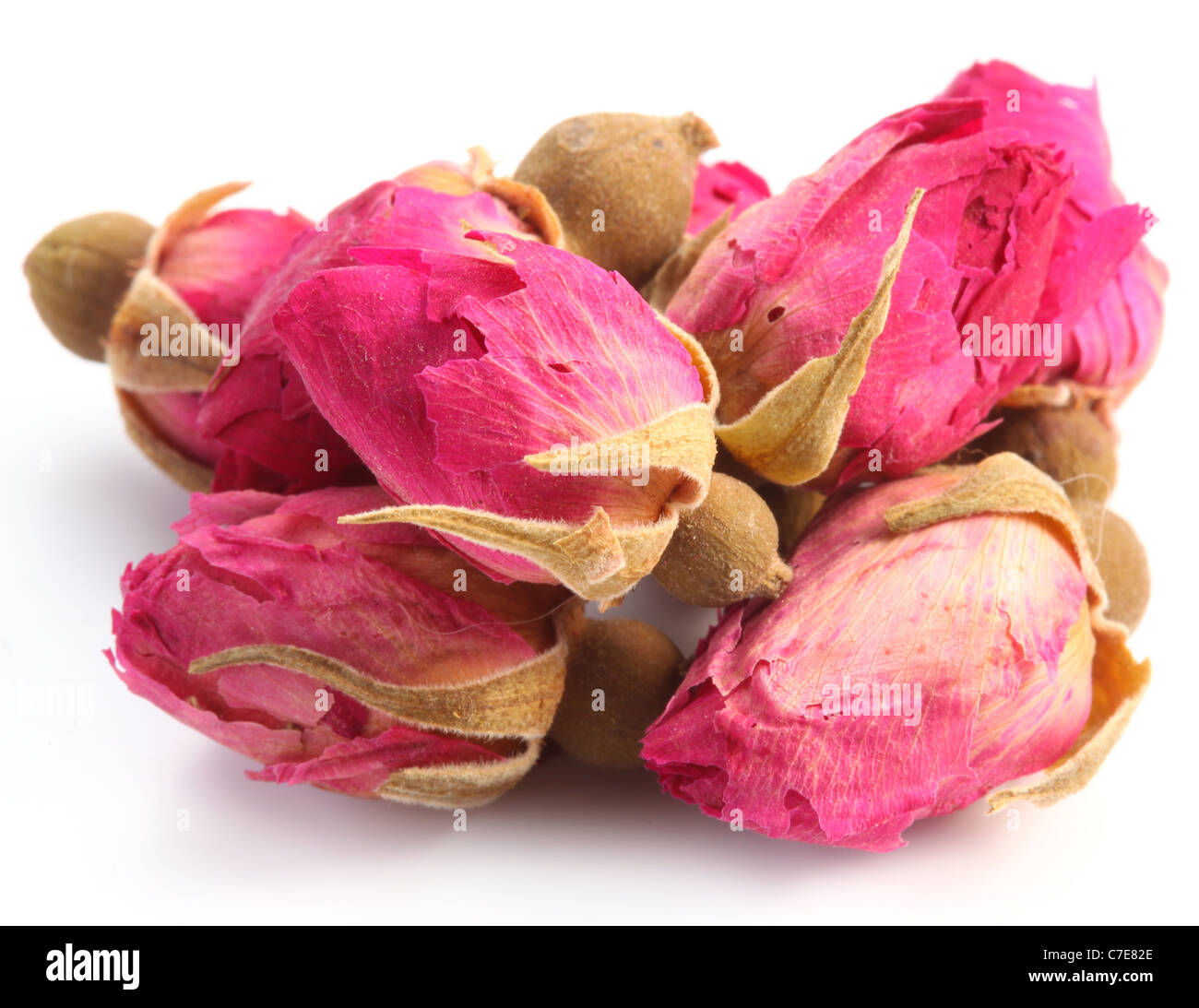 Cumulo di Tea Rose isolato su uno sfondo bianco. Foto Stock