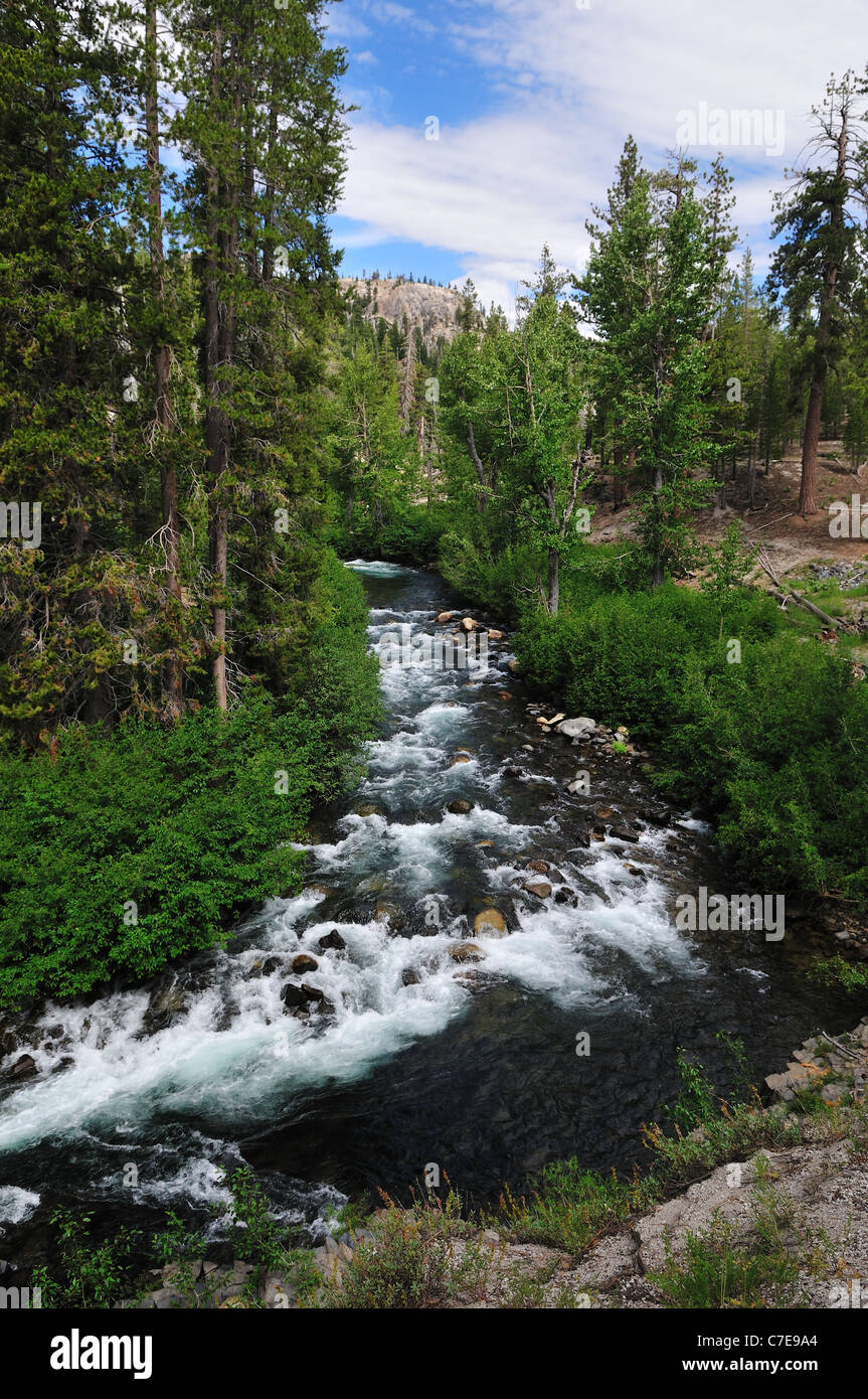 Corrente rapida di San Joaquin River vicino l' Devils Postpile National Monument. In California, Stati Uniti d'America. Foto Stock