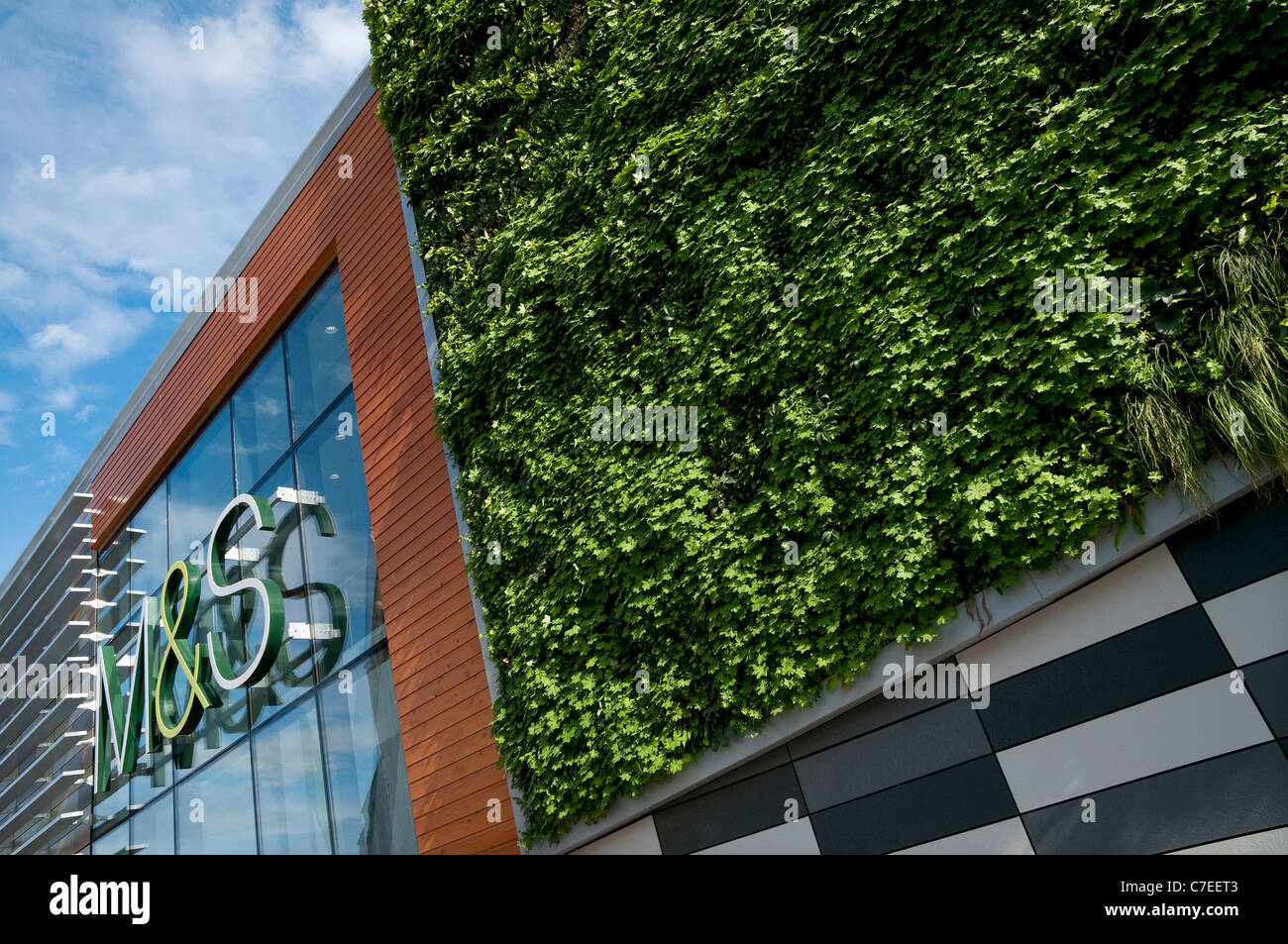 Parete verde che cresce su M&S store, Norwich, Norfolk, Inghilterra Foto Stock