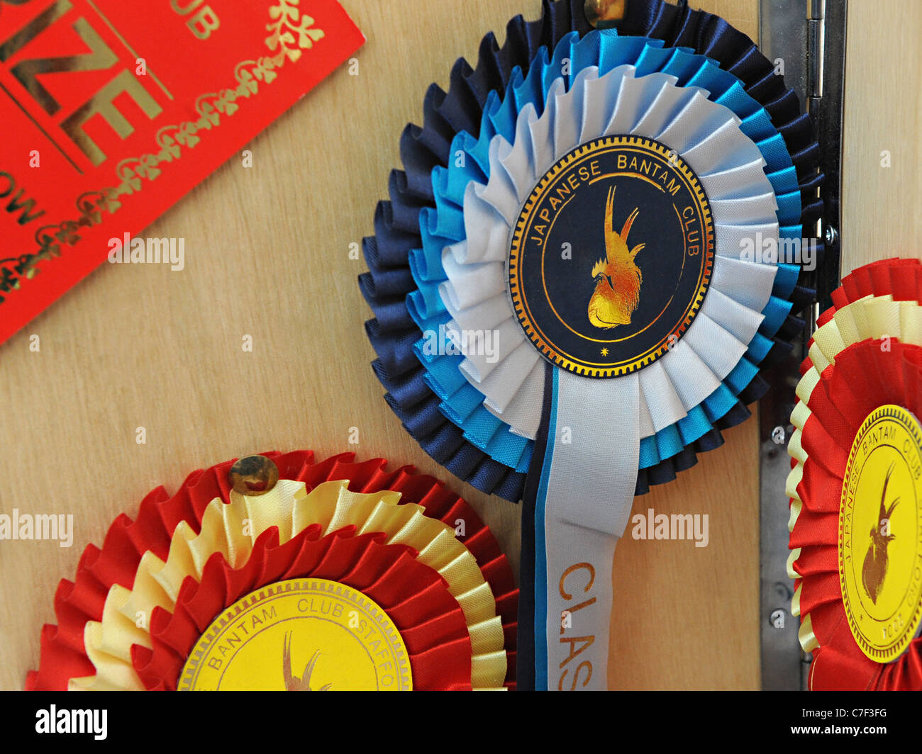 Una coccarda per premiato il pollame dal giapponese club bantam Foto Stock