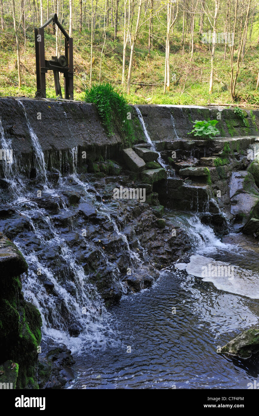 Weir sul flusso creazione di piccola cascata e offrendo ideale luogo di nidificazione per unione bianco-throated bilanciere (Cinclus cinclus) Foto Stock