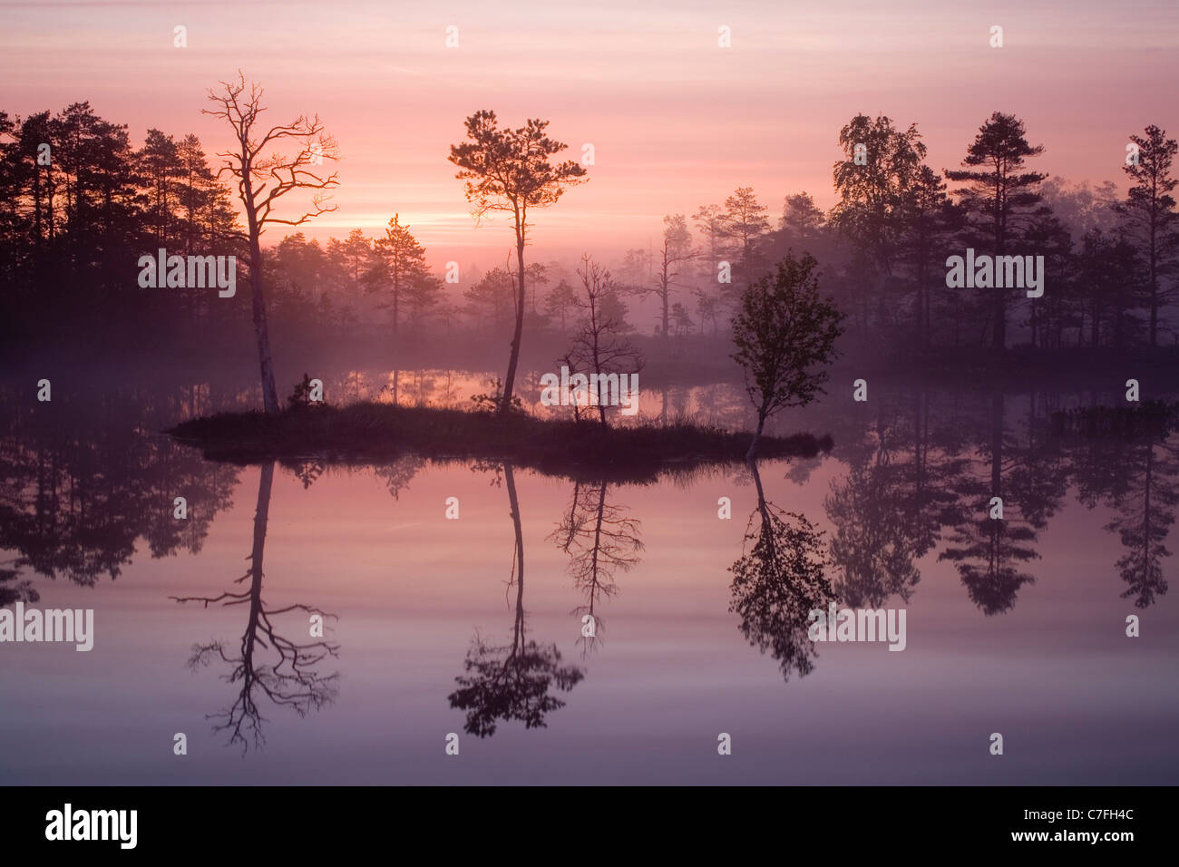 Mattinata nebbiosa in Tolkuse bog di sunrise Foto Stock