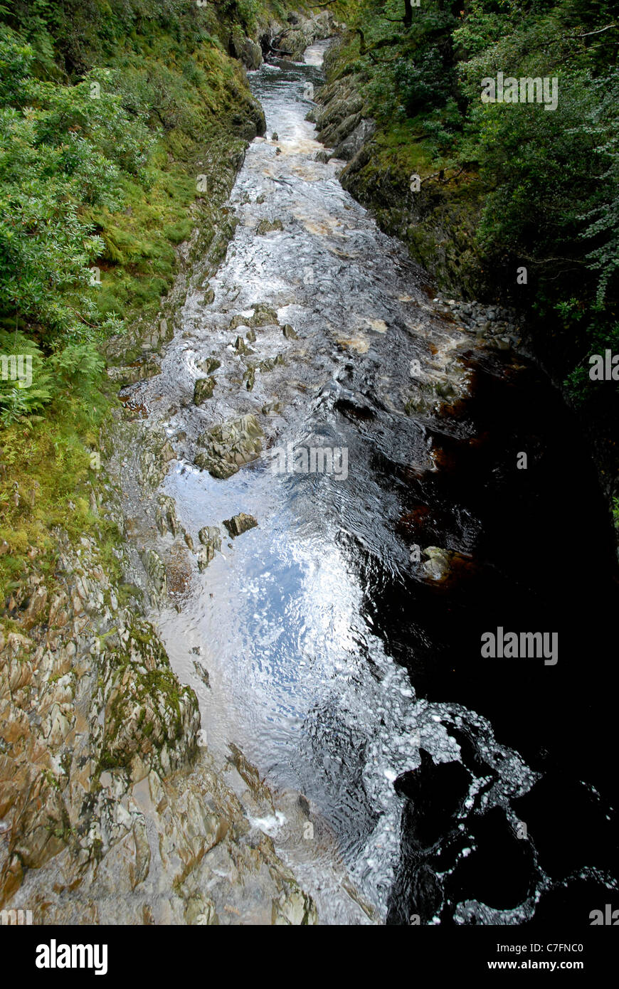 Nel fiume coed y brenin wales uk Foto Stock