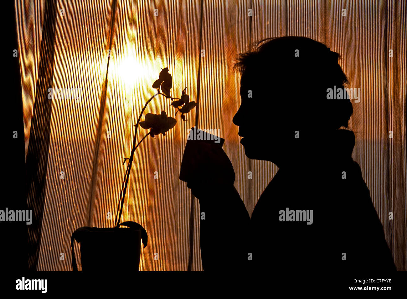 Mattina bevitore di bevande silhouette Foto Stock