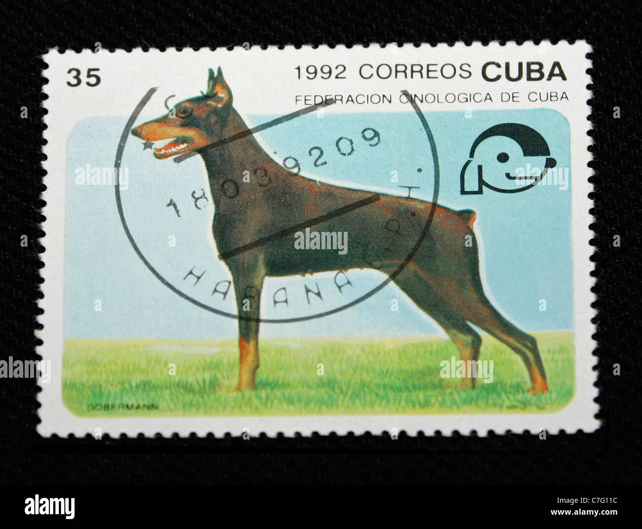 Cuba francobollo visualizzando un cane di razza Foto Stock