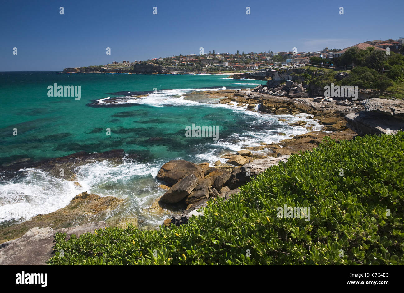 Tamarama a Bronte beach passaggio pedonale costiero, Sydney, Australia Foto Stock