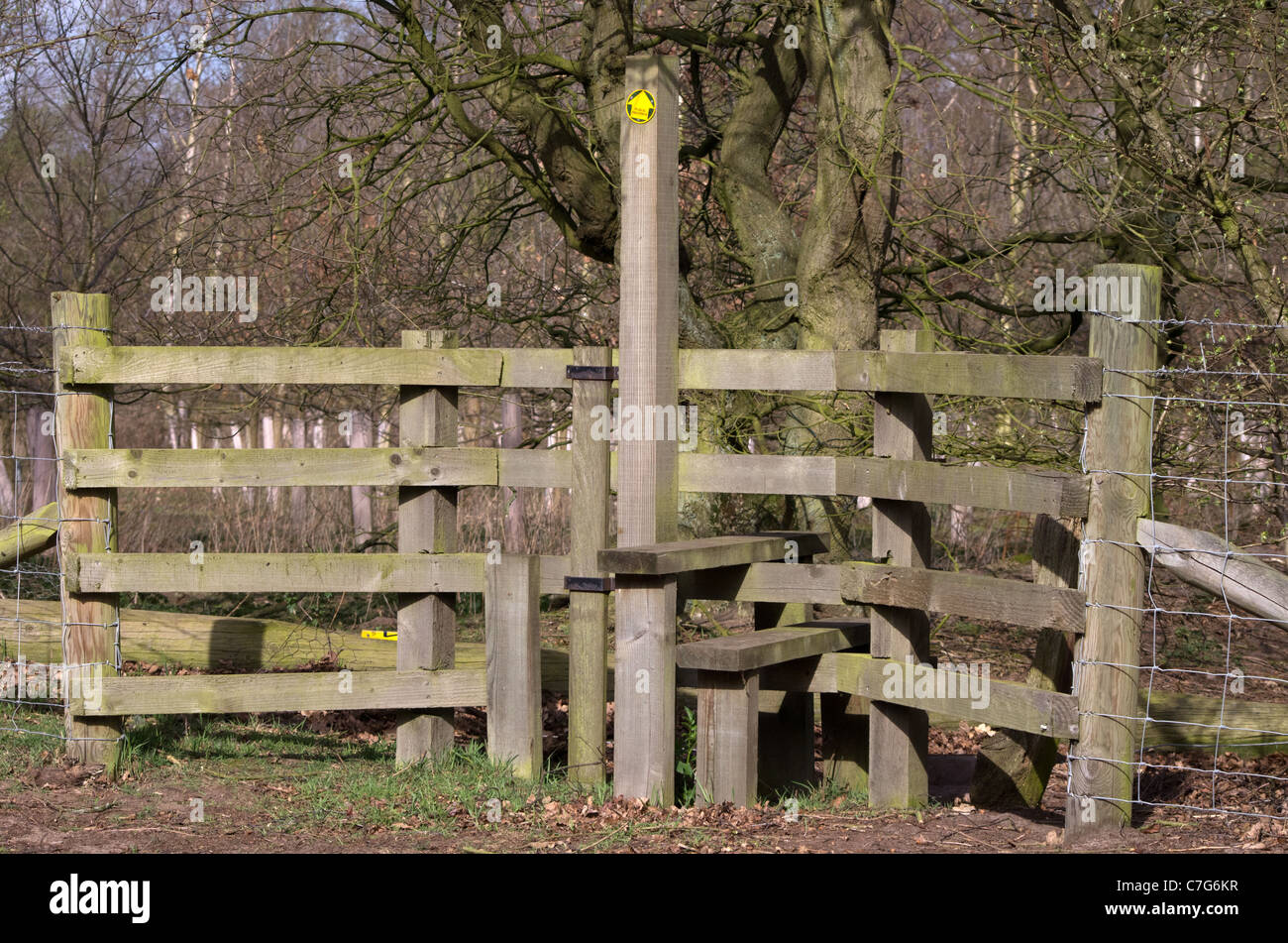 Stile di legno con gate di cane Foto Stock