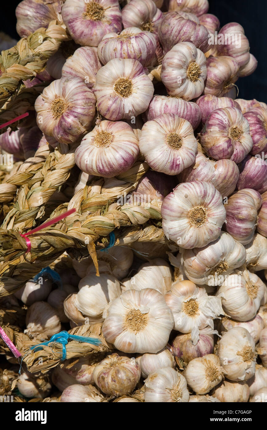 Bulbi di aglio in vendita presso la fiera (foire) a Lessay in Normandia Foto Stock