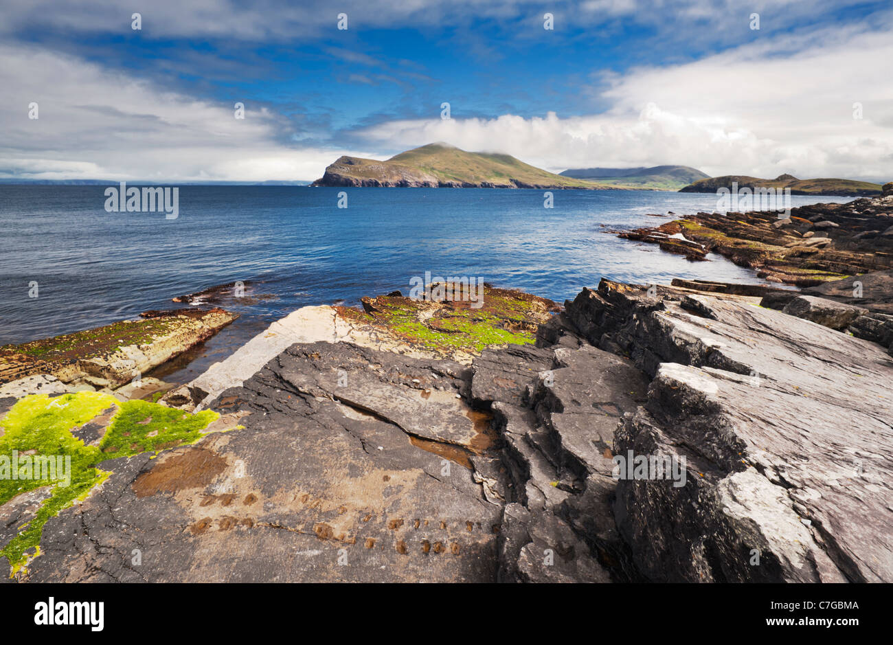 Impronta fossile da un antico tetrapod (a quattro zampe) animale, nei sedimenti Devoniano sull' isola Valentia, nella contea di Kerry, Irlanda Foto Stock