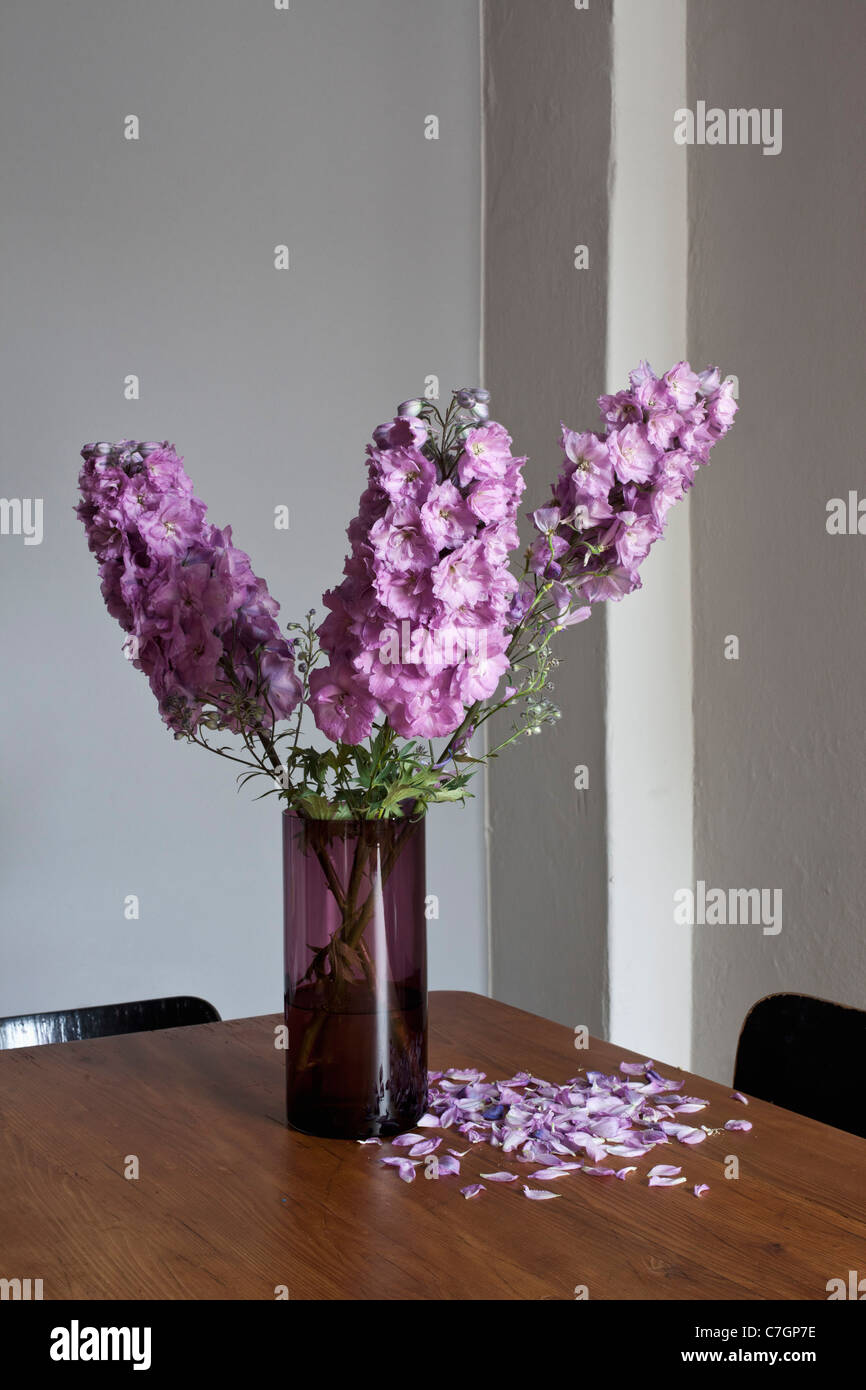 Viola fiori Delphinium morire e perdere i loro petali Foto Stock