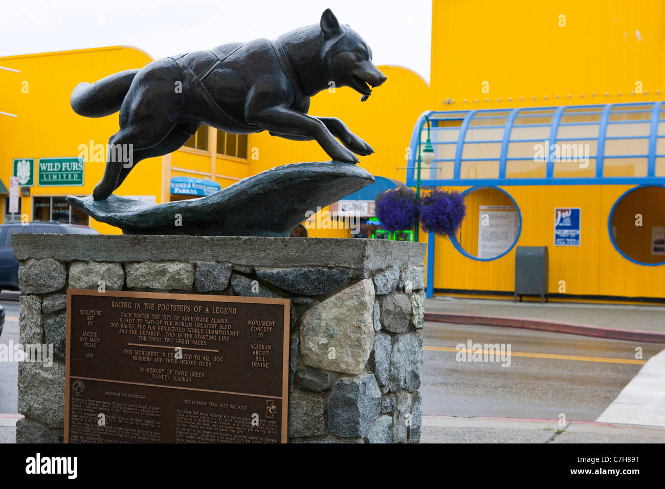 Statua di un cane di pastosità che segna il punto di partenza di Iditarod e pelliccia Rendezous nel Campionato del Mondo dogsled gare, Alaska Foto Stock