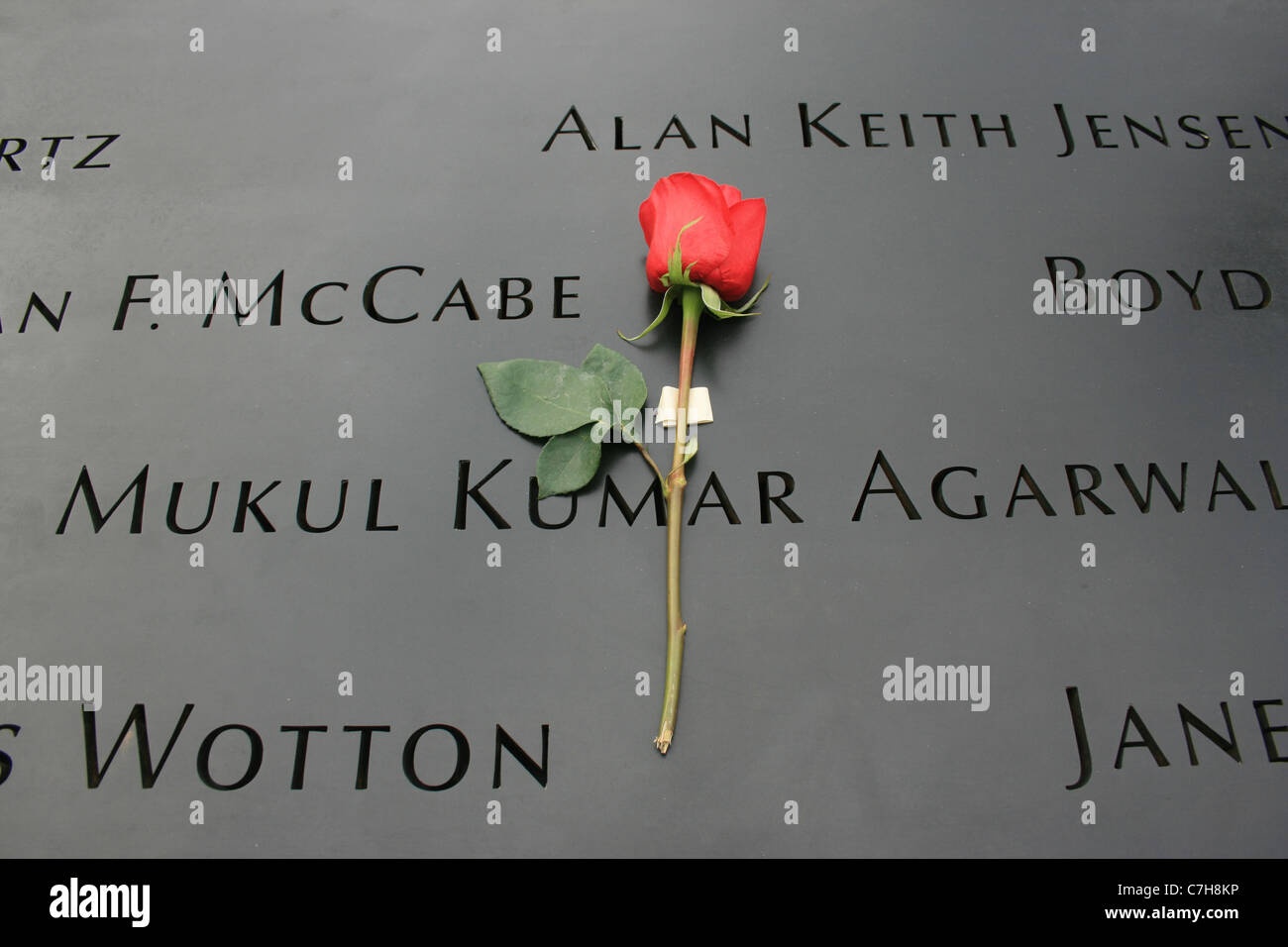 Rose a sinistra al 9/11 Memorial a Ground Zero. Foto Stock