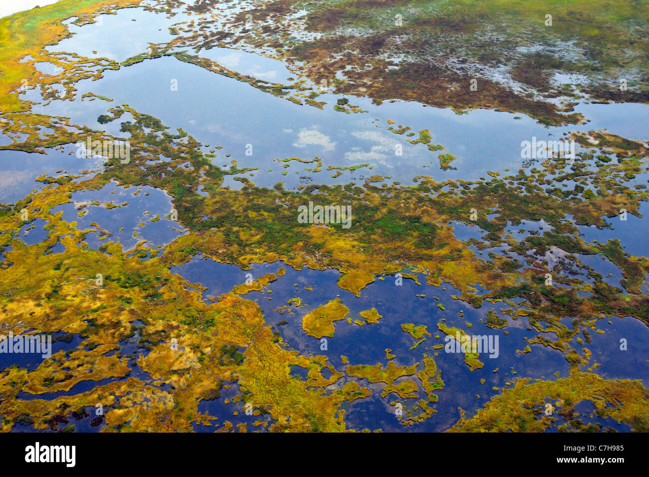 Vista aerea del terreno della palude di Cook Inlet tra ancoraggio e il Parco Nazionale del Lago Clark, Alaska, Stati Uniti d'America Foto Stock