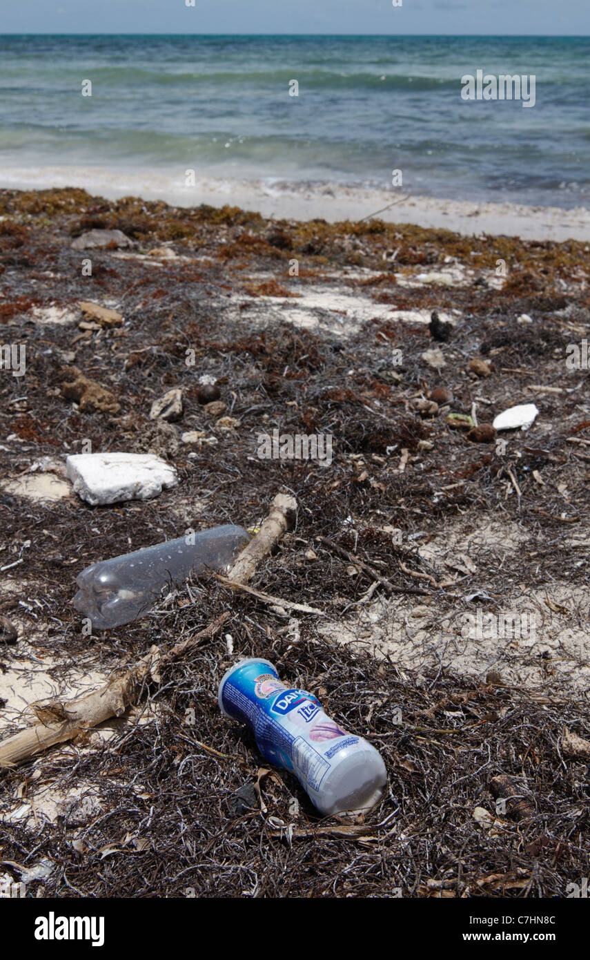 Il Cestino sulla riva. Immondizia di plastica lavati fino alla riva. Puerto Morelos, costa caraibica del Messico. Foto Stock