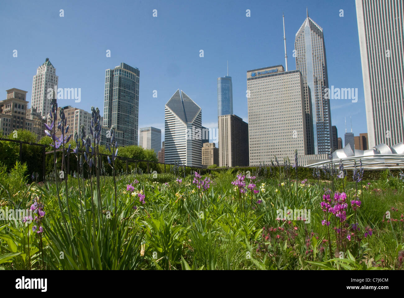 Grattacieli su East Randolph Street dal giardino Lurie nel Millennium Park di Chicago, Illinois, Stati Uniti d'America Foto Stock