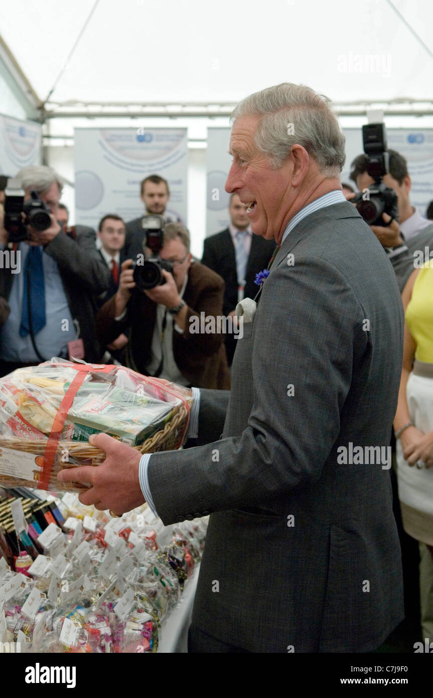 Il principe Charles visita a Ffos Las horse racing corso a nord della città di Llanelli in Gwendraeth Valley in Carmarthenshire. Foto Stock