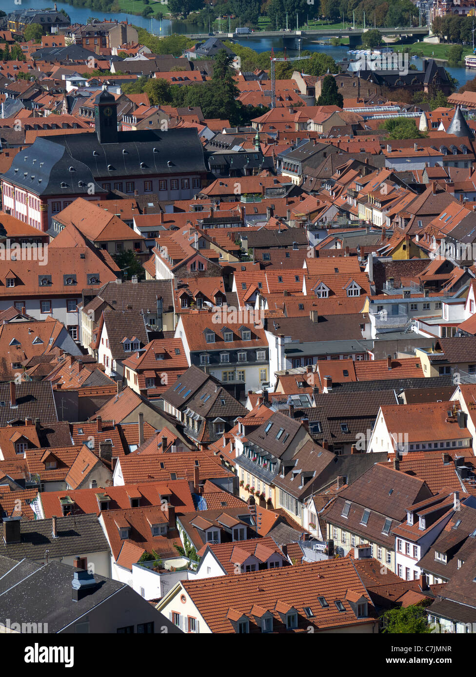 Vista sui tetti delle case nel centro storico della città di Heidelberg in Baden-Wurttemberg Germania Foto Stock