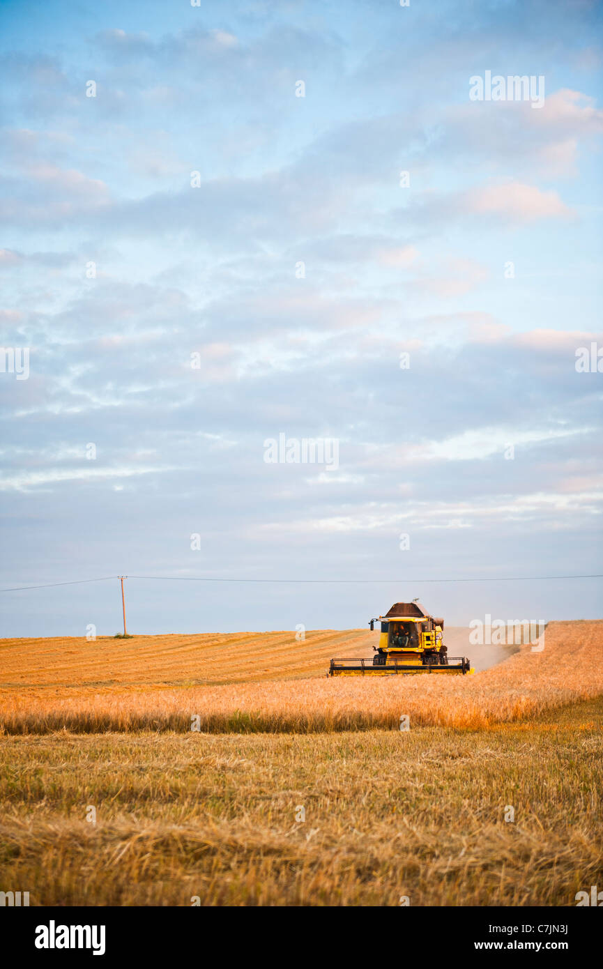 Macchina mietitrebbiatrice la mietitura dei raccolti in campo di fattoria, Warwickshire, Regno Unito Foto Stock