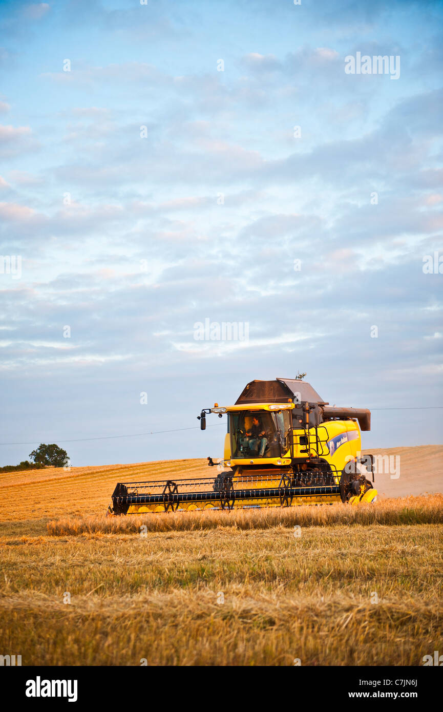 Macchina mietitrebbiatrice la mietitura dei raccolti in campo di fattoria, Warwickshire, Regno Unito Foto Stock