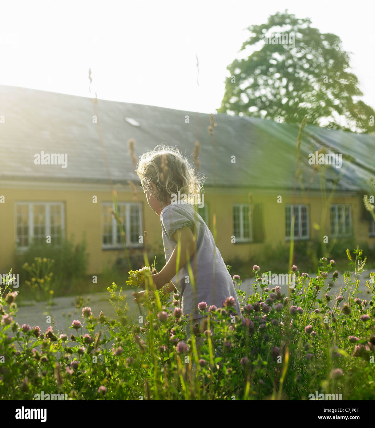 Ragazza che gioca in fiori Foto Stock