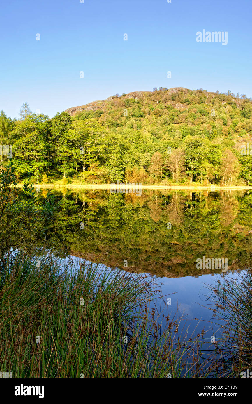 Un perfetto riflesso in Coniston Water nel distretto del lago, Cumbria, Inghilterra Foto Stock