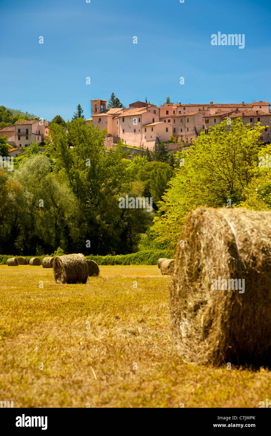 Fieno in un campo di agricoltori al di sotto di Castel San Felice, Umbria Italia Foto Stock