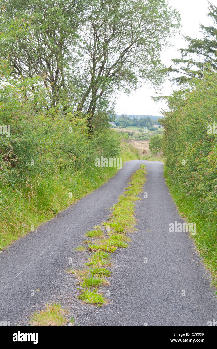 COUNTRY Road a ovest dell Irlanda Foto Stock