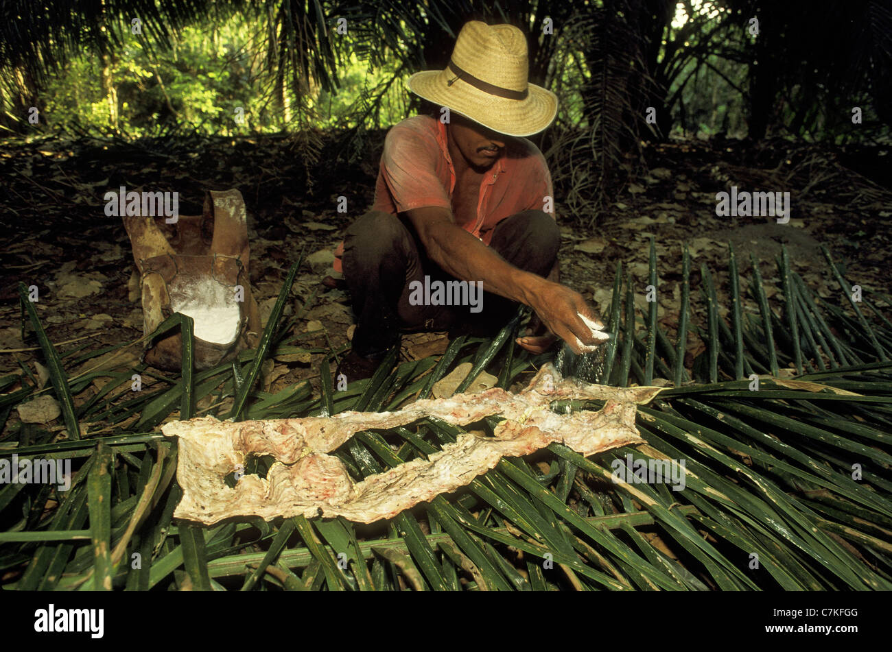 Alligatore illegale la caccia a Pantanal Matogrossense, Mato Grosso do Sul, mid-west Brasile. Foto Stock