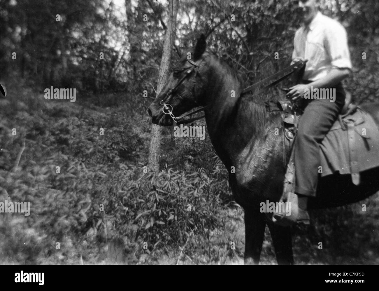 Uomo a cavallo sfondo sfocato mistero maschio 1930s foresta rurale Foto Stock