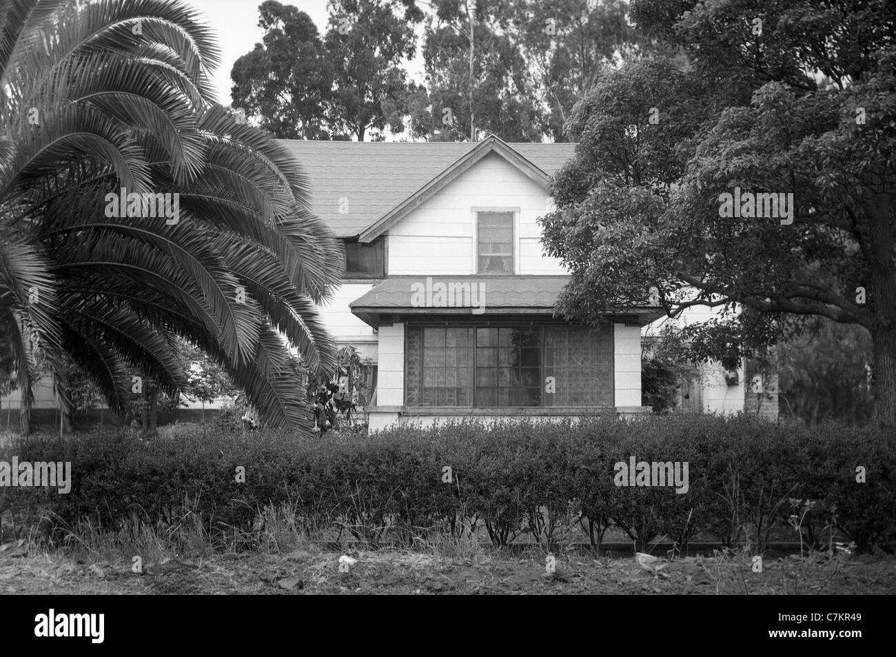 Casa con palme Southern California 1920s 1930 architecture area di los angeles Foto Stock