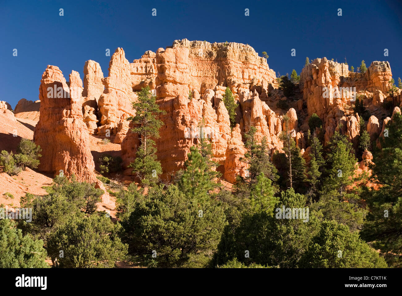 Il Red Rock nello Utah Stati Uniti d'America Foto Stock