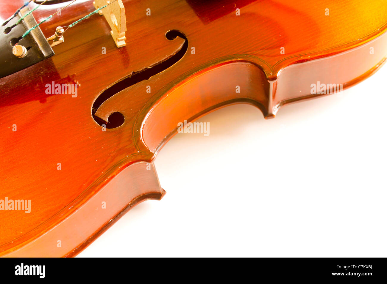 Violino close up isolati su sfondo bianco. Foto Stock