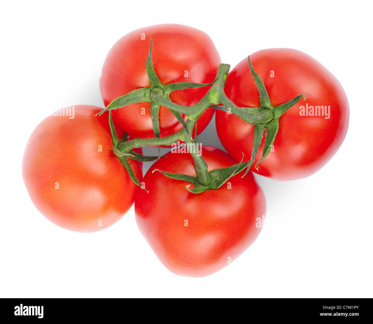 Grappolo di pomodoro rosso isolato su uno sfondo bianco Foto Stock