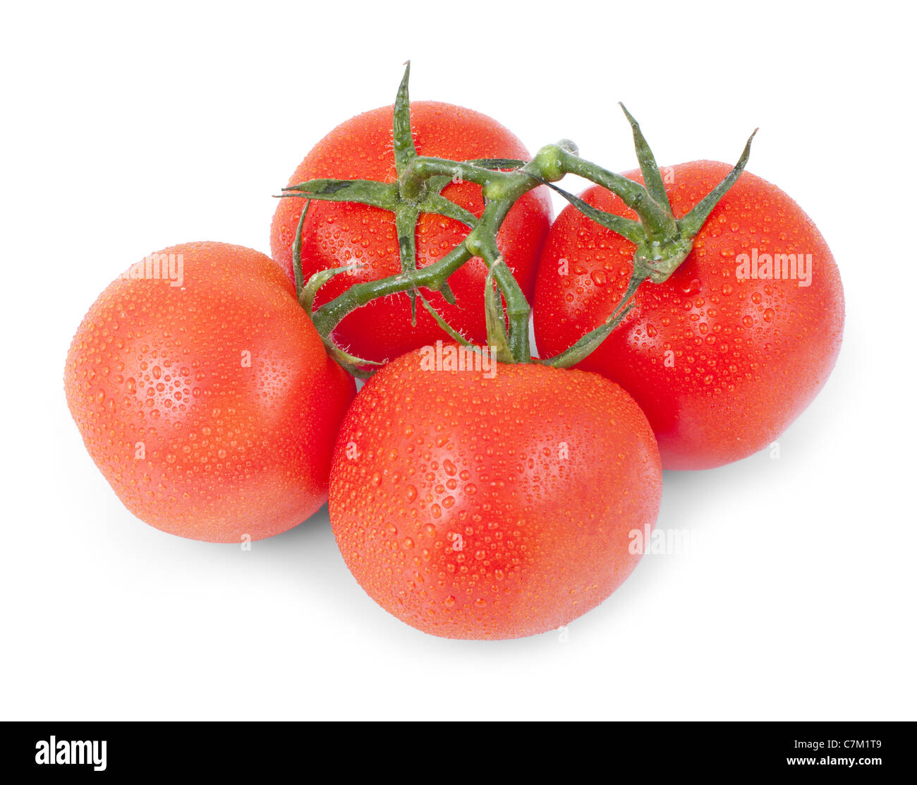 Grappolo di pomodoro rosso isolato su uno sfondo bianco Foto Stock