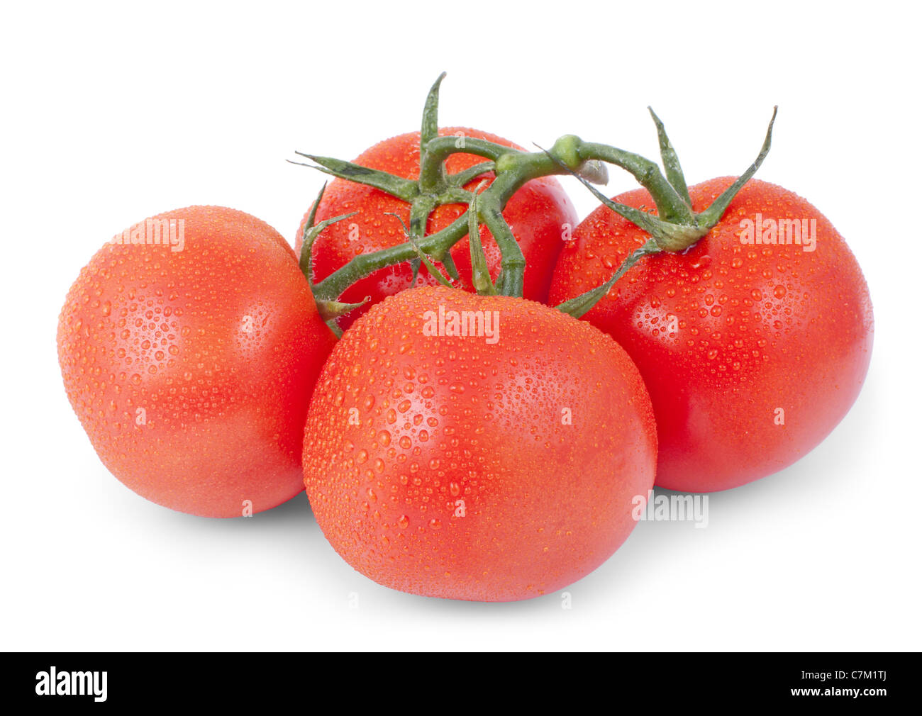 Grappolo di pomodoro rosso isolato su uno sfondo bianco Foto Stock