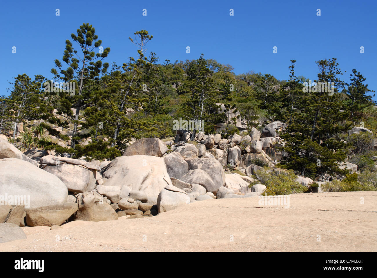 Rocce di granito, hoop pini e spiaggia sabbiosa, Arthur bay, Magnetic Island, Townsville, Queensland, Australia Foto Stock