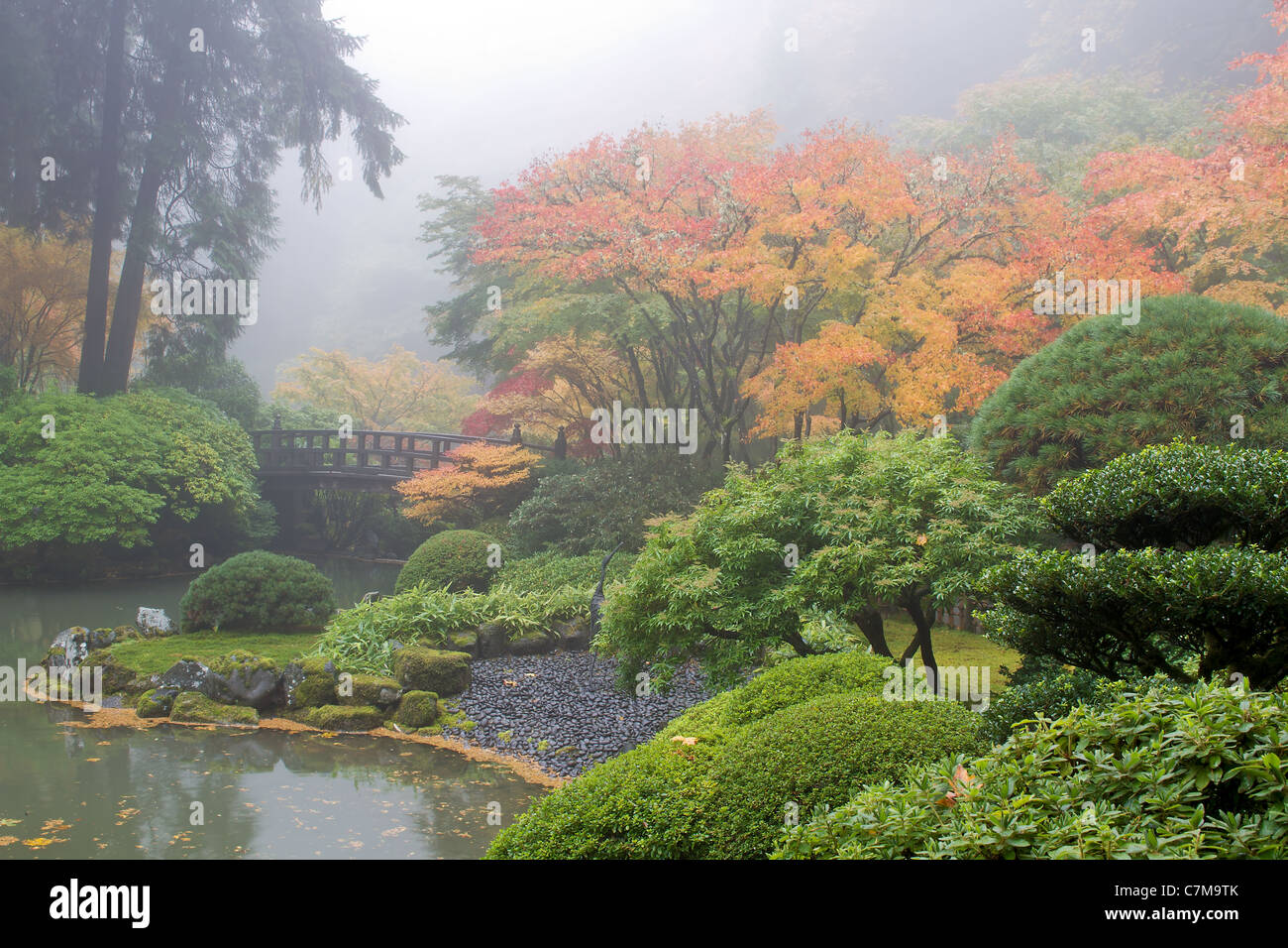 Mattinata nebbiosa al giardino giapponese dal laghetto e ponte in autunno Foto Stock