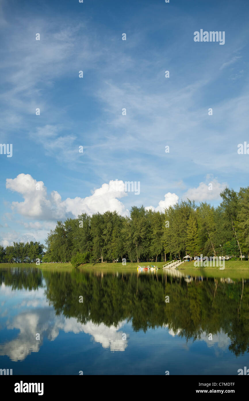 Vista di un bellissimo lago al mattino. Colpo verticale. Foto Stock